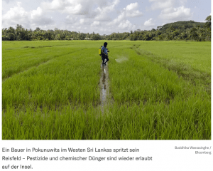 Hat biologische Landwirtschaft Sri Lanka in die Krise gestürzt