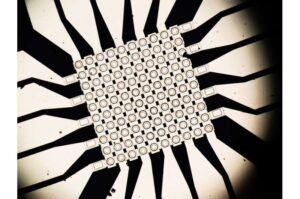 plastic-nerve-cells-be