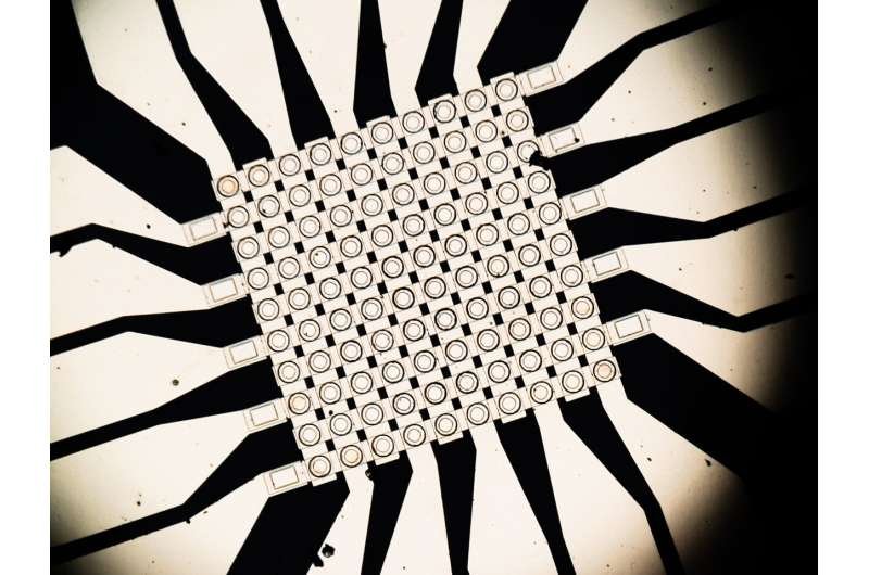 plastic-nerve-cells-be