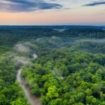 Scenic aerial view of a lush green forest with a river and mist at sunset, showcasing nature's beauty.
