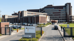 Gemini_Generated_Image_Verfassungsschutz-x800