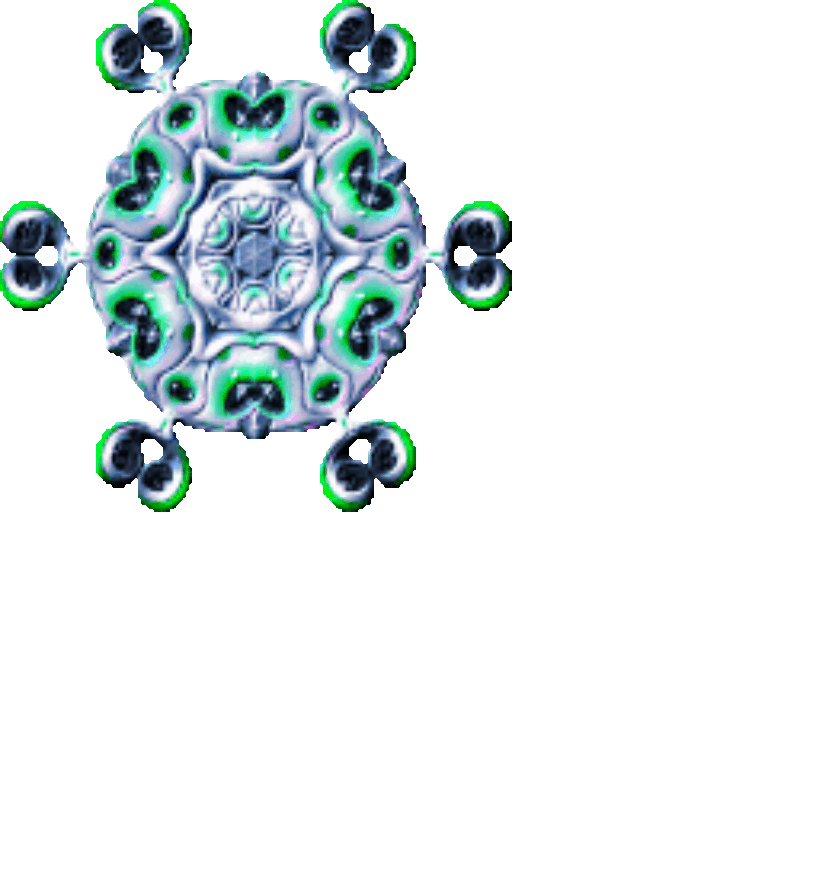 Die andere Seite - Goelden.de